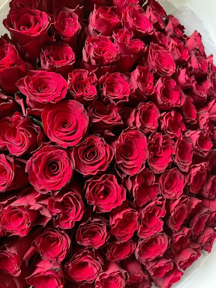 Harmony Blooms Vintage Collection
